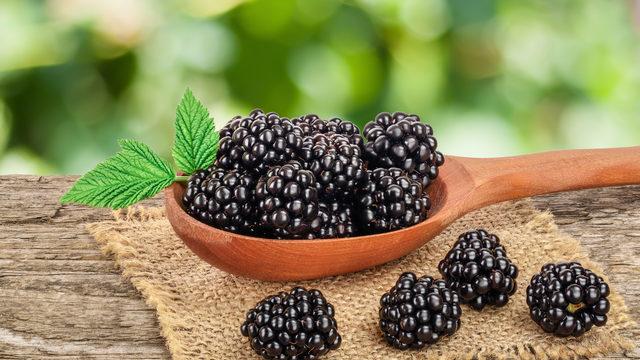 Karadutun faydaları nelerdir, zararı var mı? Karadut özü, şurubu ve pekmezi faydaları nedir, neye iyi gelir?