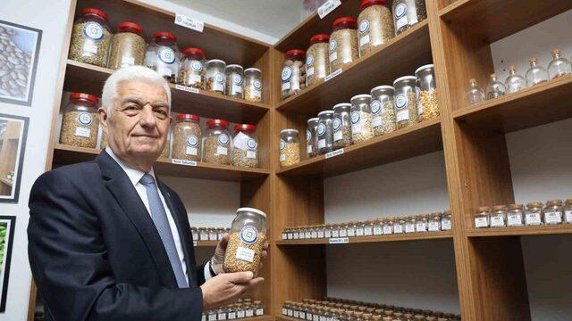 18 milyon ata tohumu dağıtıldı