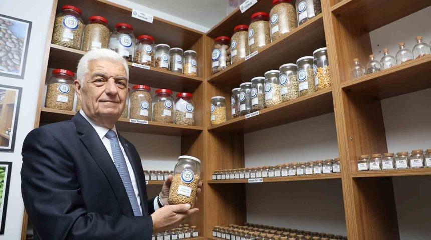 18 milyon ata tohumu dağıtıldı