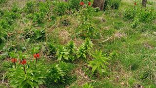 Bunu yapan yandı! Cezası 244 bin TL 'Havaların ısınmasıyla beraber...'