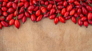 Kuşburnu faydaları nelerdir, kilo verdirir mi? Kuşburnu neye, hangi hastalıklara iyi gelir? 