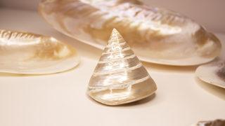 Sedef taşı faydaları nelerdir, ne anlama gelir? Sedef taşı özellikleri nelerdir, ne işe yarar?