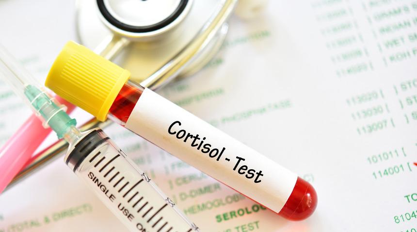 Kortizol hormonu nedir, ne işe yarar? Kortizol hormonu nasıl dengelenir ve düşürülür?