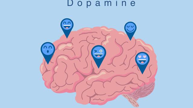Dopamin hormonu nedir, ne işe yarar? Dopamin hormonu hangi duyguyu yok eder, nasıl artar?