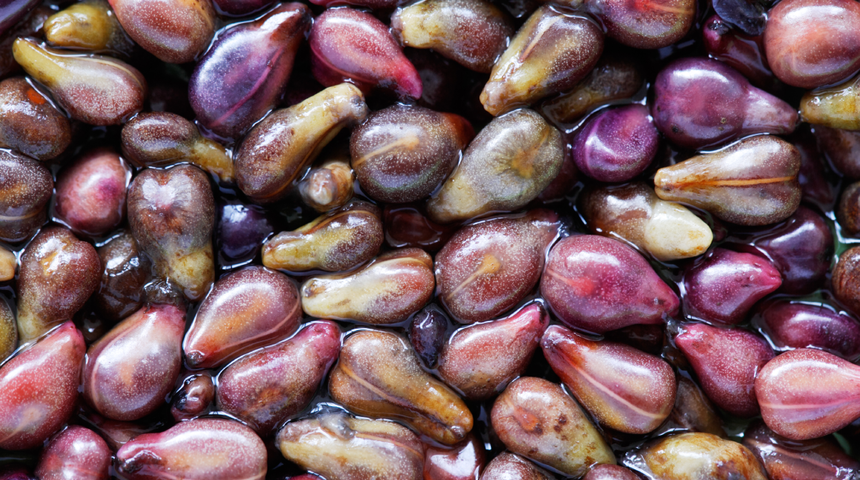 Sakın çöpe atmayın! Kansere karşı kalkan oluyor, bağırsakları temizliyor