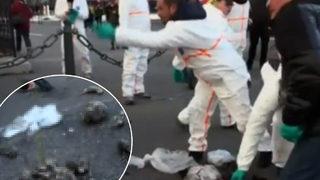 Kanalizasyon çalışanları da greve katıldı! Kent meydanının ortasında ölü farelerle protesto yaptılar