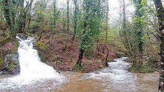 Kuraklık alarmı veren Kazdağları’ndan sevindiren görüntü
