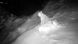 Kırmızı listede yer alıyor! Eşine böyle seslendi