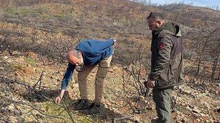 Datça’daki yangın sahasında incelemelerde bulunuldu