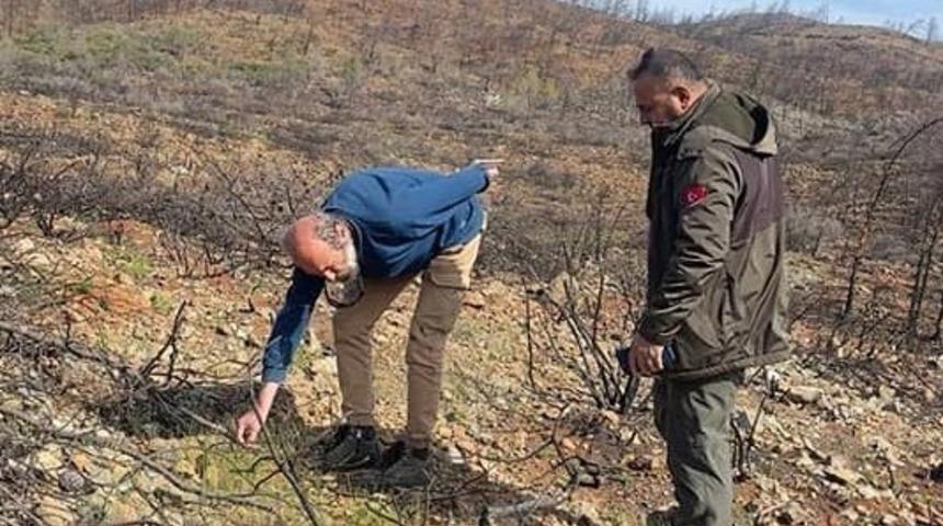 Datça’daki yangın sahasında incelemelerde bulunuldu