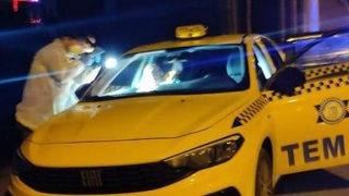 Kocaeli'de korkunç olay! Takside başından vurulmuş halde bulundu