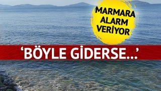 'Böyle giderse sadece fotoğraflarda göreceğiz' Marmara'daki o tehlikeye dikkat çekti! 'En son denizdeydi artık yok'