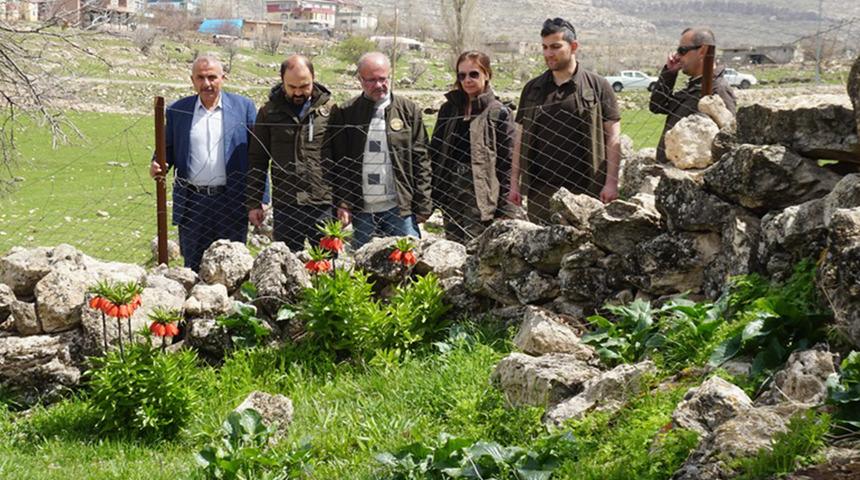 Çalınmasın diye köylüler başında nöbet tutuyor! Cezası araba fiyatında... 