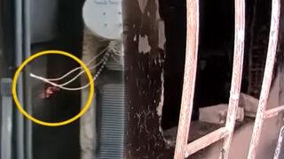 Rahat uyku uyuyamıyorlar! Bu apartmandakiler kabusu yaşıyor: Ne yapacağımızı şaşırdık