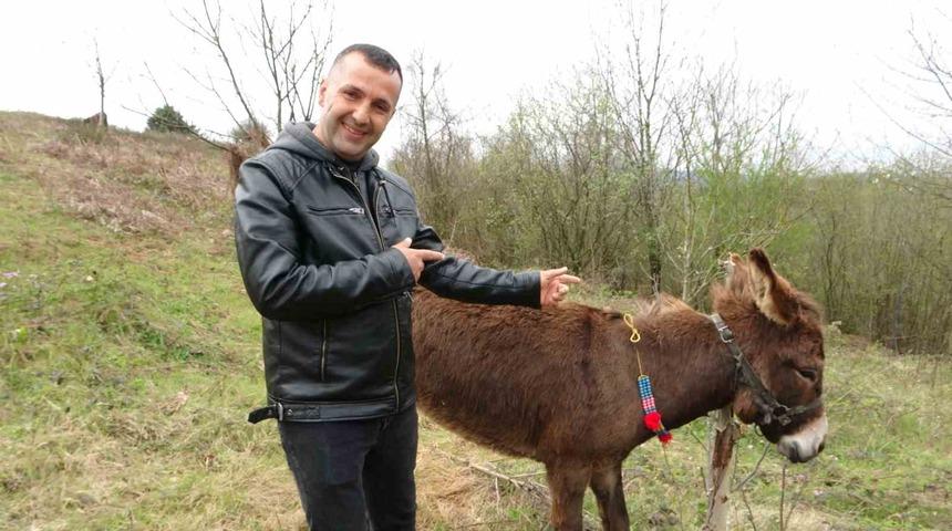 İnternetten satışa çıkarılan 'Uysal eşek' fenomen oldu! 'Ekspertiz raporu, boya, değişen var mı?