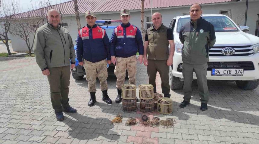 Van’da kafes avcılığı yapan 4 kişi jandarmaya takıldı