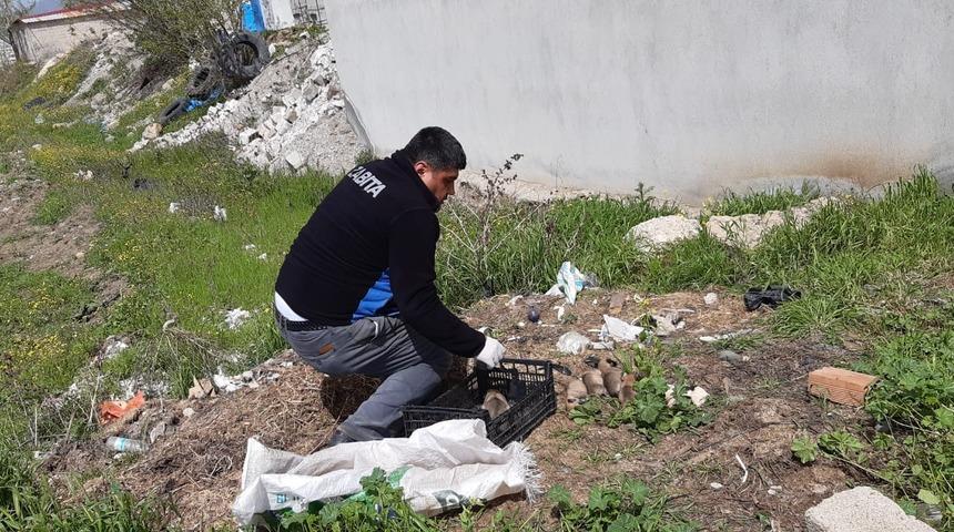 Bunun adı vicdansızlık! Ağzı bağlı çuvaldan çıktılar... Ölüme terk edilmişler