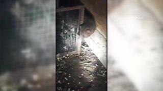 Çiftçi, sansardan böyle hesap sordu: Biz şimdi ne yapacağız sansar efendi?