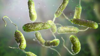 İnsanlığı bekleyen yeni tehlike: Et yiyen bakteriler... Vaka sayısı 8 kat arttı... Her 5 kişiden 1’i hayatını kaybediyor