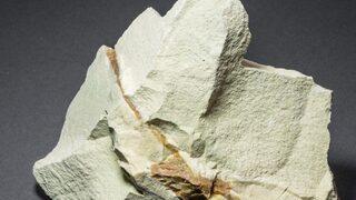 Altın, bor, petrol… Şimdi de zeolit! Sadece o bölgede 500 milyon tonluk rezerv bulunuyor