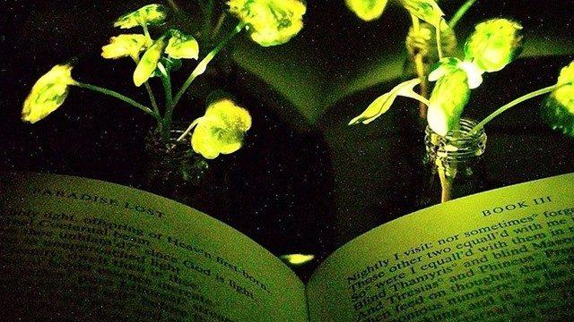 Masa lambasına gerek kalmayacak