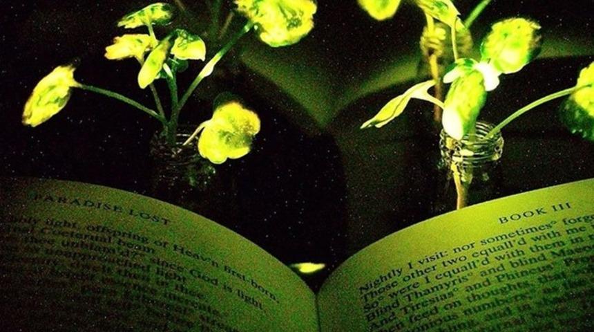 Masa lambasına gerek kalmayacak