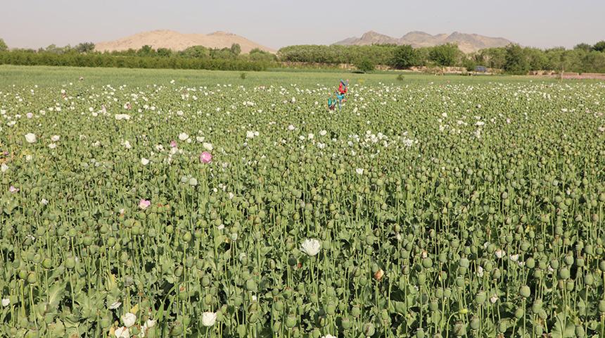 Taliban'dan et yasağı! Pazar günleri ne satılabilecek ne tüketilebilecek! Gerekçesi ise...