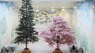 Cumhurbaşkanı Erdoğan katıldı! İki anıtsal eser hizmete açıldı