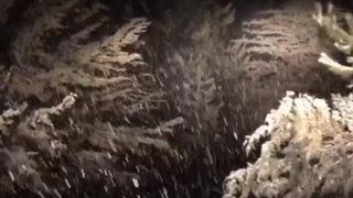 Görüntüler Antalya'dan! Lapa lapa yağdı 'Nisan ayında kar sürprizi' Yurttan kar manzaraları... İşte son dakika 13-17 Nisan hava durumu