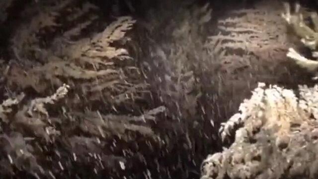 Görüntüler Antalya'dan! Lapa lapa yağdı 'Nisan ayında kar sürprizi' Yurttan kar manzaraları... İşte son dakika 13-17 Nisan hava durumu