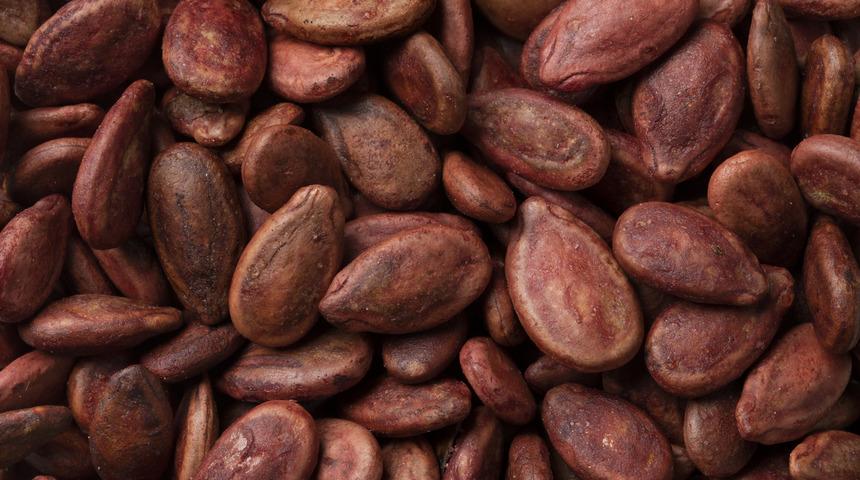 Karpuz çekirdeği faydaları nelerdir, zararı var mı? Karpuz çekirdeği yenir mi, nasıl yenir?