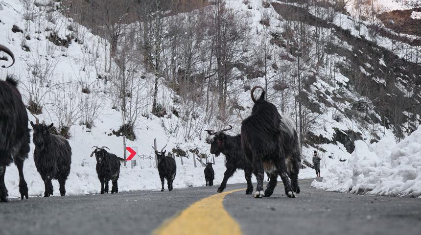 69/1 trafik cezası nedir, ceza tutarı ne kadar? 69/1 trafik cezası maddesi ihlal konusu nedir, kimlere uygulanır?