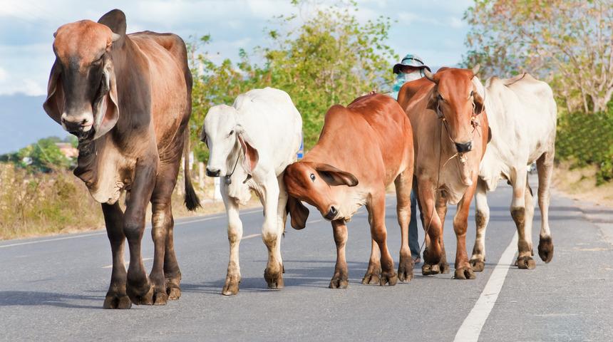 69/2 trafik cezası nedir, ceza tutarı ne kadar? 69/2 trafik cezası maddesi ihlal konusu nedir, kimlere uygulanır?