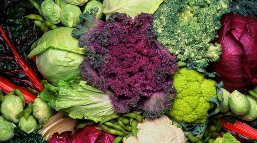 Sebze yiyin hastalıklardan korunun