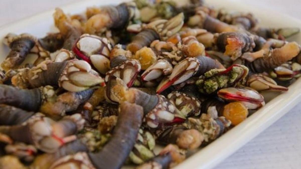 G&ouml;r&uuml;nt&uuml;s&uuml; korkun&ccedil; olabilir ama porsiyonu 100 Euro'dan satılıyor