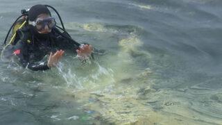 Türkiye günlerce onu konuşmuştu! Marmara'da korkutan görüntü 'Sürekli izlemek gerekiyor'