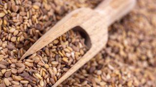 Kendi küçük etkisi büyük! Cinsel güç artırıcı bu tohum iltihaba ve kansere karşı koruyor