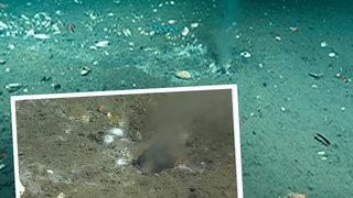 Okyanus tabanından 'yangın hortumu gibi' fışkırıyor! Şaşkına çevirdi... Bu, daha önce hiç görmediğim bir şey