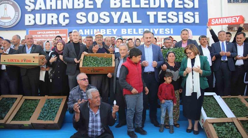 Gaziantep’te çiftçiye 11 milyon 500 bin adet fide dağıtıldı