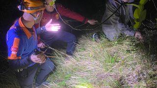 Zonguldak'ta devrilen hafif ticari aracın sürücüsü yaralandı