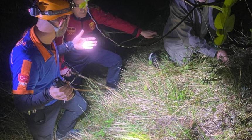 Zonguldak'ta devrilen hafif ticari aracın sürücüsü yaralandı