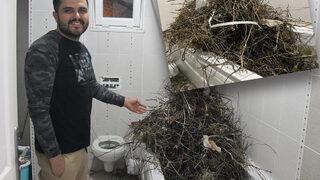 Tatil için evinden ayrıldı, geri döndüğüne gördüğü manzara karşısında şaşkına döndü! 