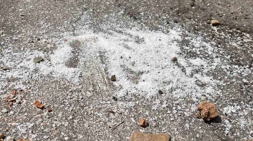 Yaban keçileri için “Tuz dökmeyin” uyarısı