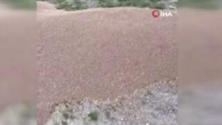 Başkentte çekilen görüntüler bakanlığı harekete geçirdi! Kameralar inceleniyor: Boş arazide 50 ton...