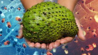 Araştırma sonucu herkesi şaşırttı! Bu meyve kanser hücrelerini yok ediyor