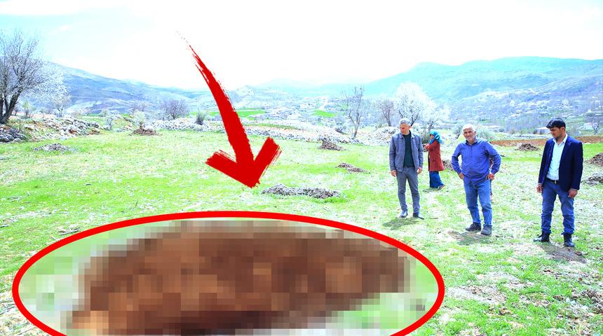 Yer: Kahramanmaraş! Tarım arazisinde... "Daha önce böyle bir şey ile karşılaşmadık"