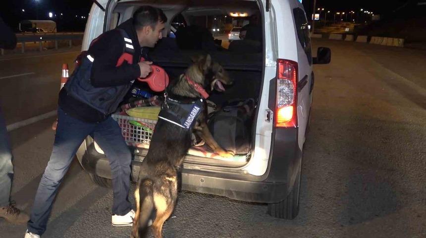 43 ilin ge&ccedil;iş g&uuml;zergahında gece yarısı narkotik k&ouml;pekli denetim: Ara&ccedil;lar didik didik arandı