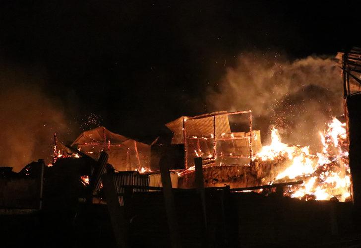 Bayburt'ta bir k�yde yang�n ��kt�: Bir�ok ev ve ah�r k�le d�nd�!