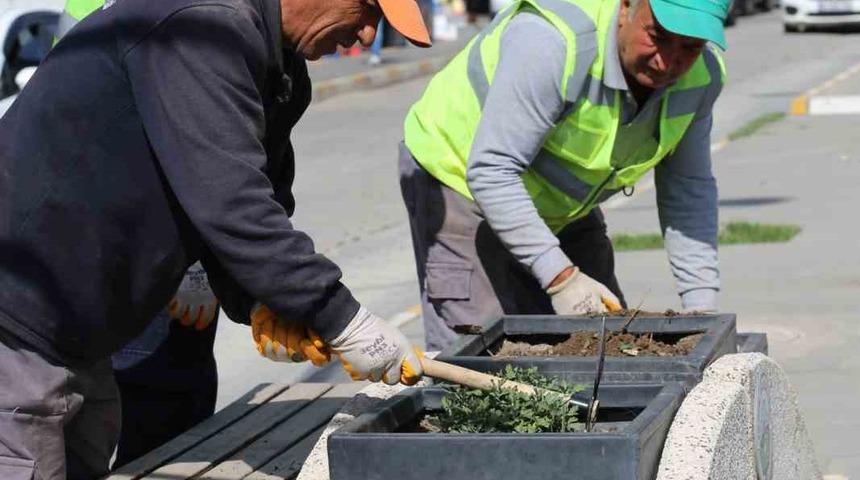Iğdır’da şehir genelinde çiçek ekimi