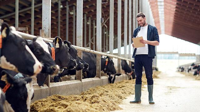 Erdoğan'dan 10 büyük müjde! Sıfır faizli hayvancılık kredisi ne zaman verilecek, nasıl alınır? Çiftçilere sıfır faizli hayvancılık kredisi